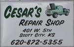 Cesar's Repair Shop